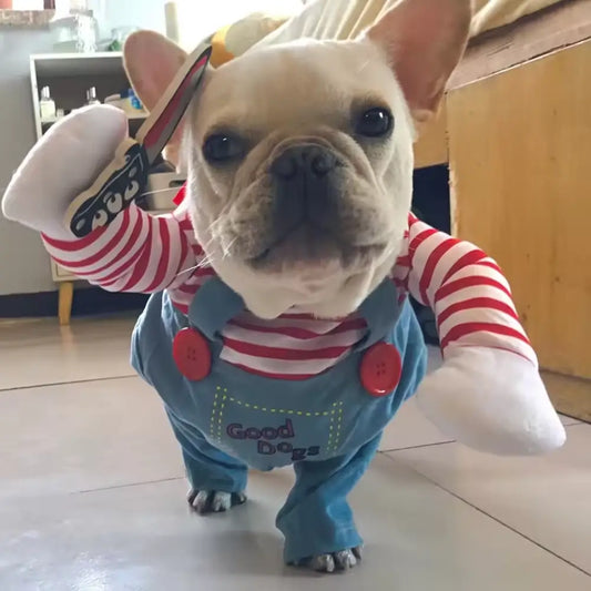 Funny Dog Costume