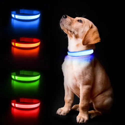 LED Waterproof Glow Collar