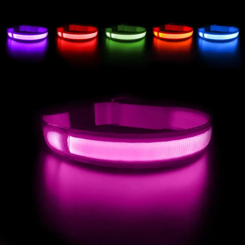 LED Waterproof Glow Collar