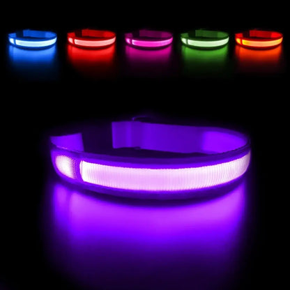 LED Waterproof Glow Collar