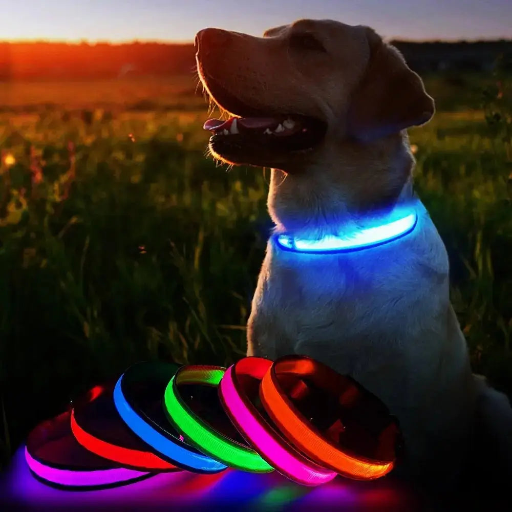 LED Waterproof Glow Collar