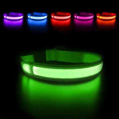 LED Waterproof Glow Collar