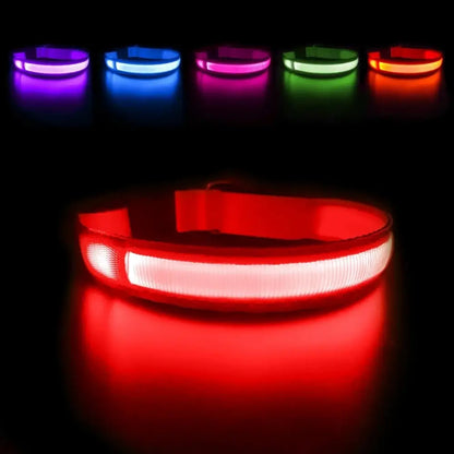 LED Waterproof Glow Collar