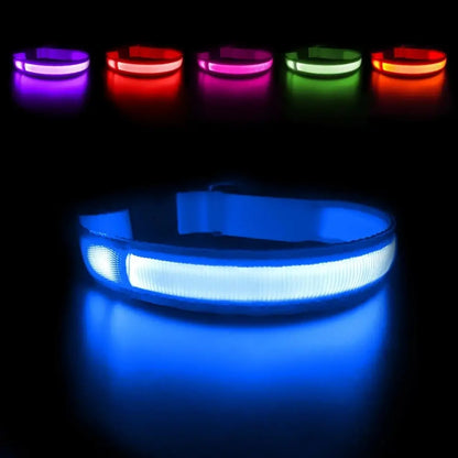 LED Waterproof Glow Collar