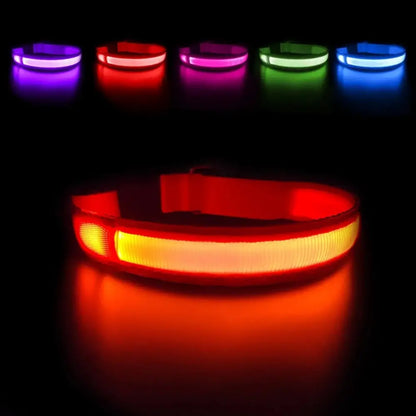 LED Waterproof Glow Collar