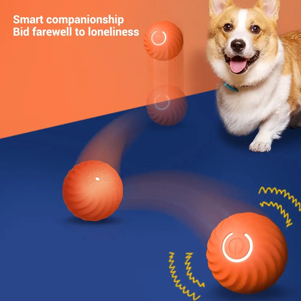 Smart Dog Toy Ball