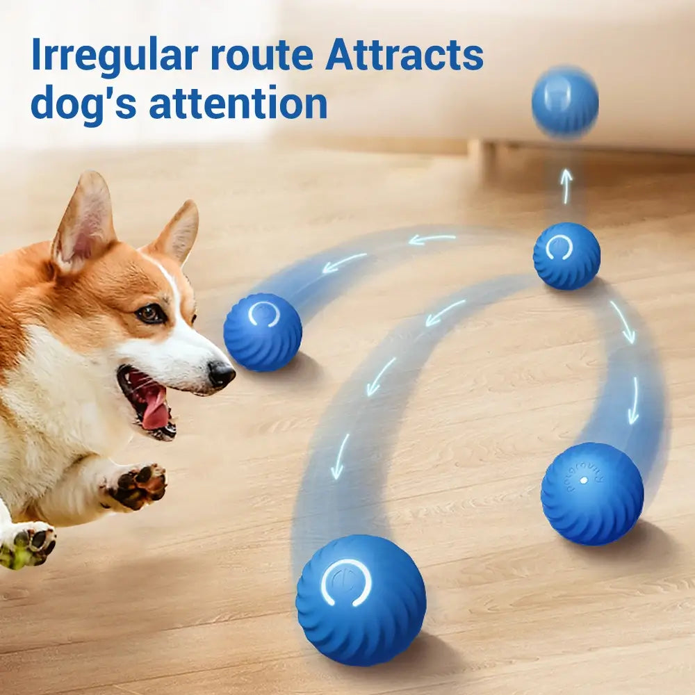 Smart Dog Toy Ball