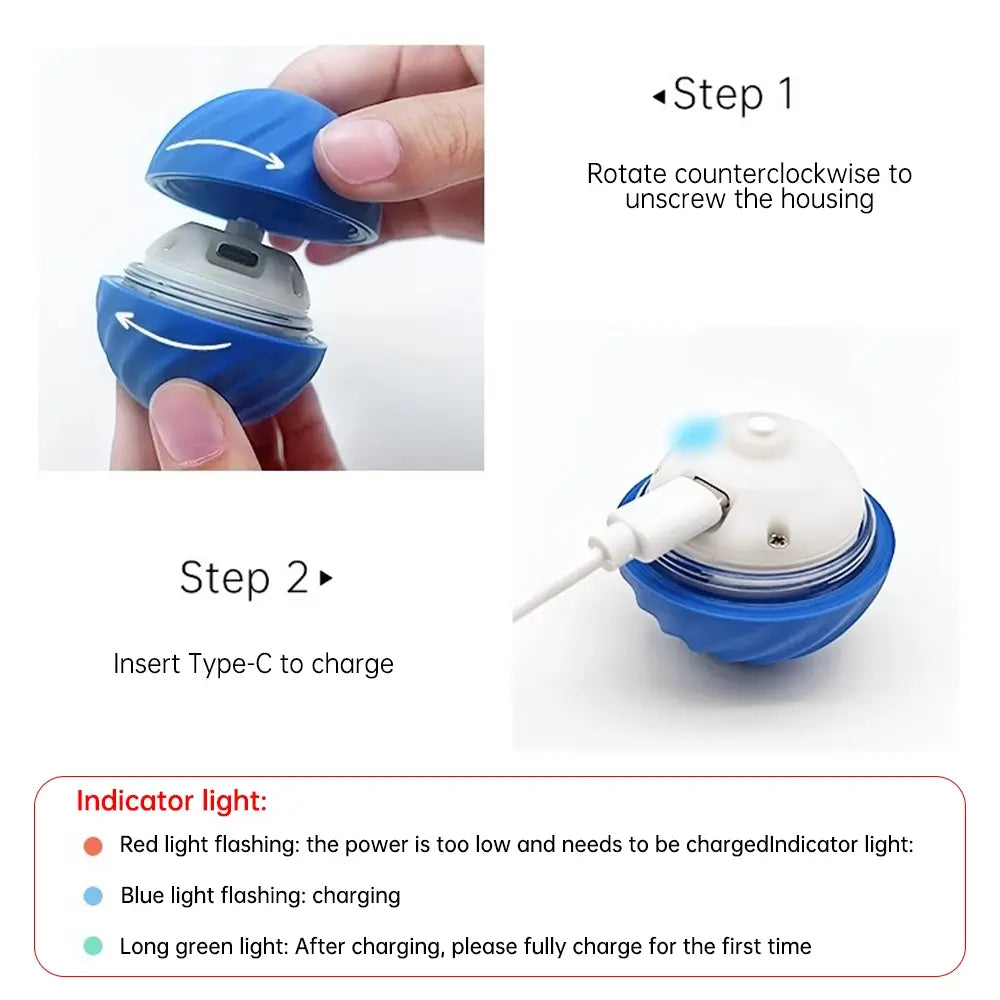 Smart Dog Toy Ball